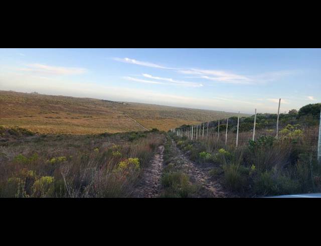 FARM FOR SALE IN STILBAAI RURAL